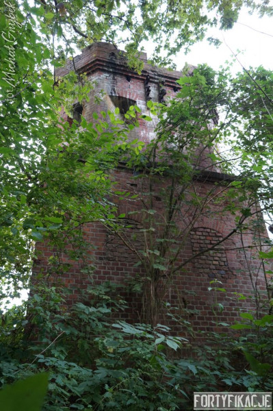 19 19