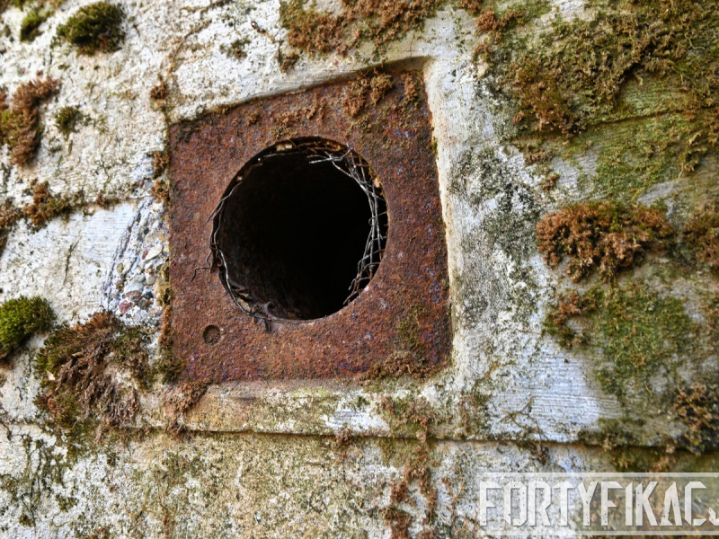 dsc 4131 dxo dsc 4131 dxo