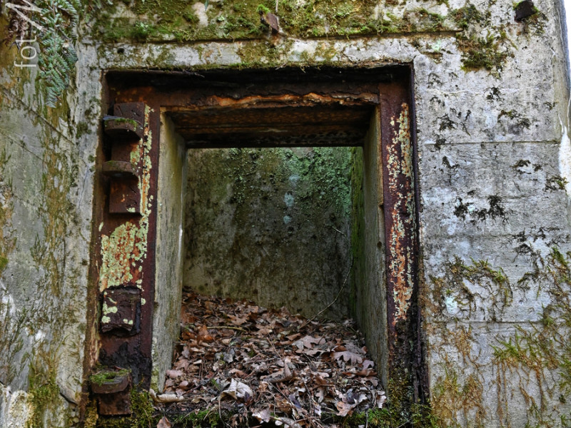 dsc 4132 dxo dsc 4132 dxo