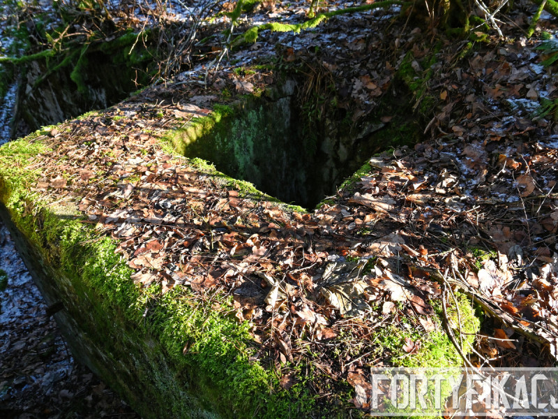 dsc 4133 dxo dsc 4133 dxo