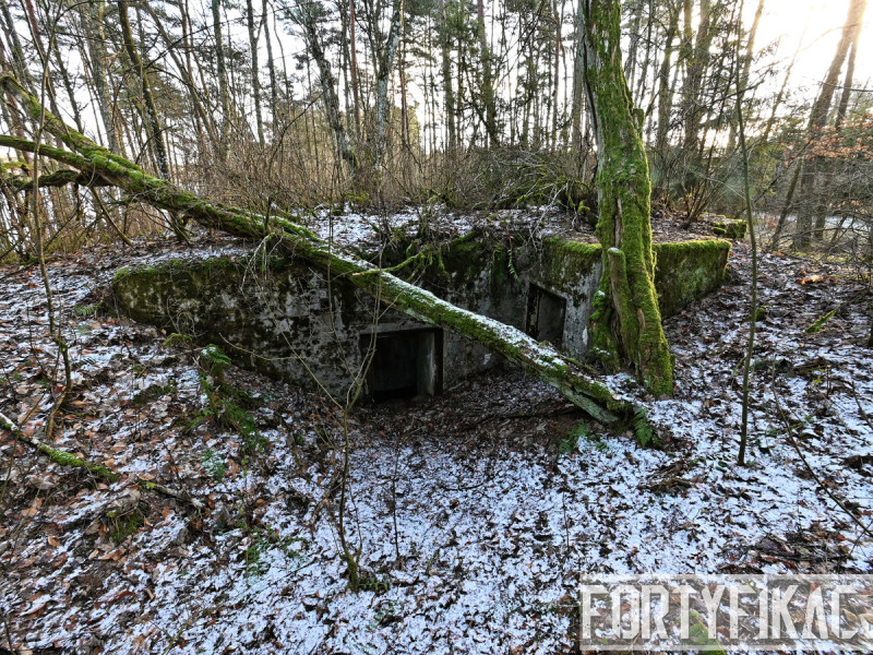 dsc 4136 dxo dsc 4136 dxo