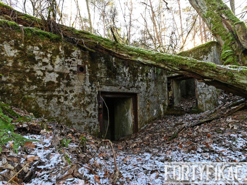 dsc 4139 dxo dsc 4139 dxo