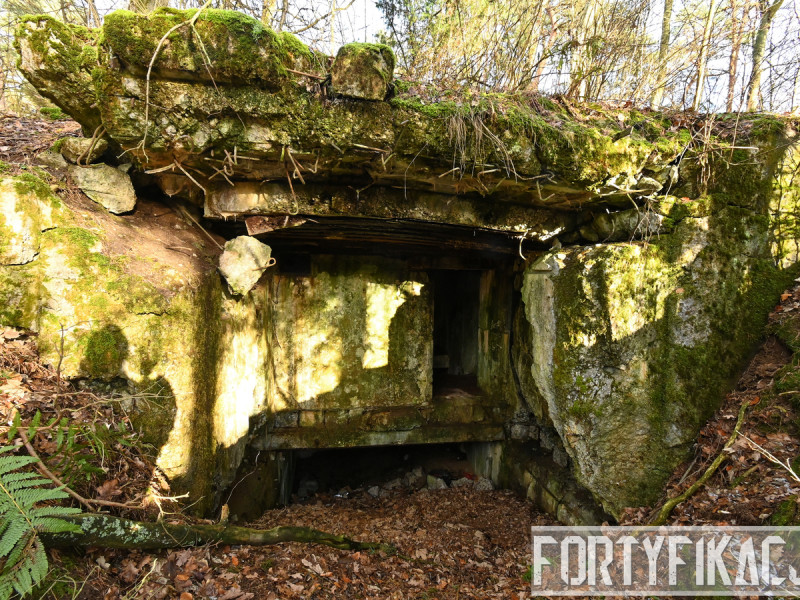 dsc 4140 dxo dsc 4140 dxo