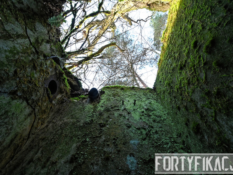 dsc 4141 dxo dsc 4141 dxo