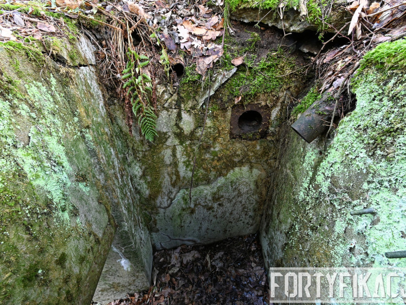 dsc 4142 dxo dsc 4142 dxo