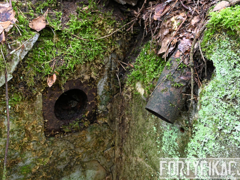 dsc 4143 dxo dsc 4143 dxo