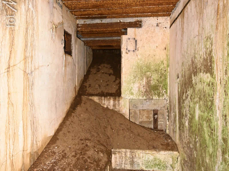 dsc 4154 dxo dsc 4154 dxo