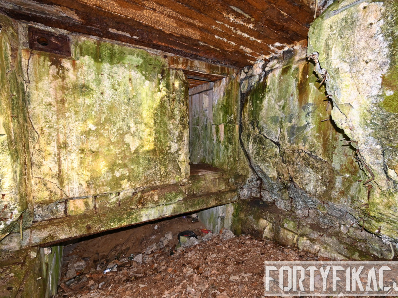 dsc 4161 dxo dsc 4161 dxo