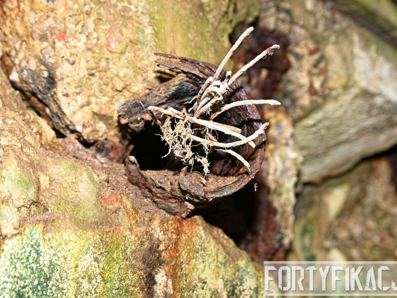 dsc 4167 dxo dsc 4167 dxo