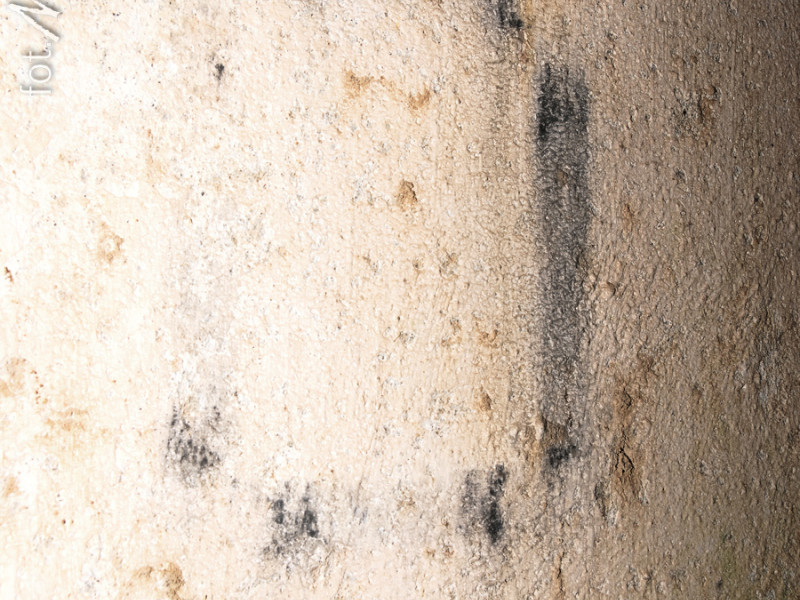 dsc 4179 dxo dsc 4179 dxo